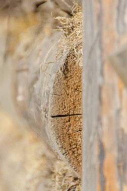 Ahırda boşluğu duvarları yosun, doğal, çevre dostu izolasyon tıkalı