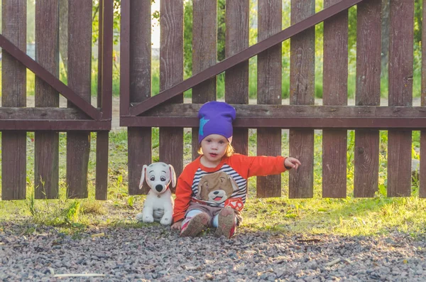 Dívka Dítě Plotu Hračka Psa Při Západu Slunce — Stock fotografie