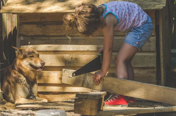 Dívka Dítě Buduje Opravy Booth Dům Pro Psa — Stock fotografie