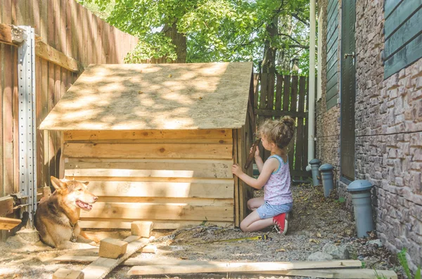 girl, child builds, repairs booth, house for dog