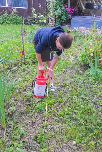 Gadis Tukang Kebun Memperlakukan Semak Semak Dan Pohon Dengan Pestisida — Stok Foto