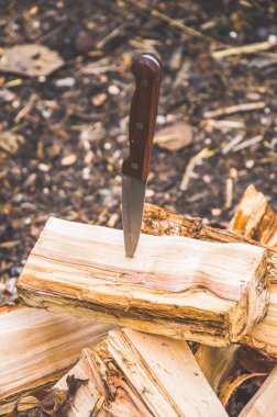 bir ağaç, ahşap kampanyadaki doğada bir bıçak sıkışıp