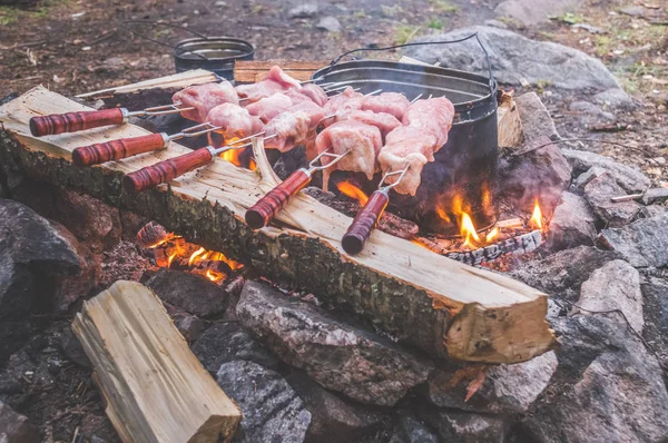 Wycieczka Ogień Smażyć Mięso Grillowania — Zdjęcie stockowe