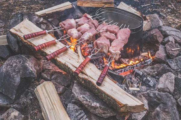 Wycieczka Ogień Smażyć Mięso Grillowania — Zdjęcie stockowe