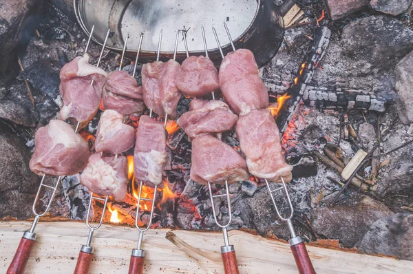 Wycieczka Ogień Smażyć Mięso Grillowania — Zdjęcie stockowe