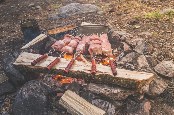 Výšlap Ohni Osmažíme Maso Gril — Stock fotografie