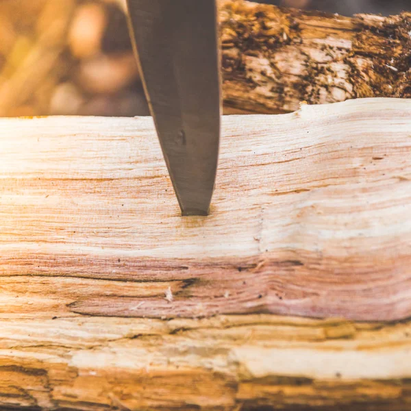 bir ağaç, ahşap kampanyadaki doğada bir bıçak sıkışıp