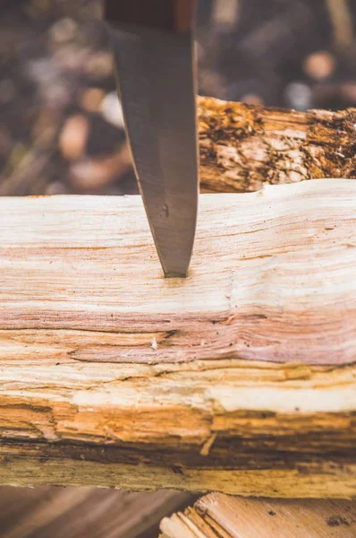 bir ağaç, ahşap kampanyadaki doğada bir bıçak sıkışıp