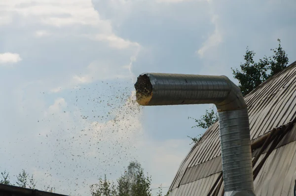 Sawdust Flying Out Vent Tube Container Collecting Garbage Factory Mill — Stock Photo, Image
