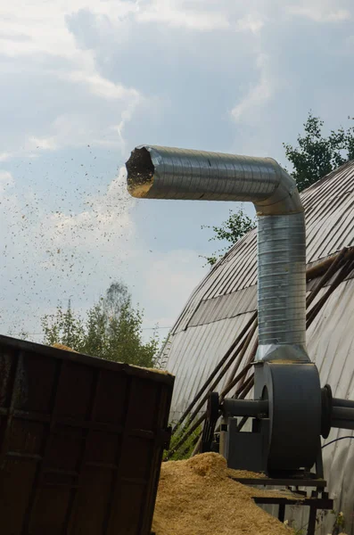 Sawdust Flying Out Vent Tube Container Collecting Garbage Factory Mill — Stock Photo, Image