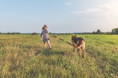 Kız, Çocuk yaz güneşli gün üstünde kira kontratı, yeşil çimenli çayır çoban köpek yürüyüş