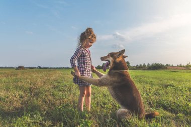 Kız, Çocuk yaz güneşli gün üstünde kira kontratı, yeşil çimenli çayır çoban köpek yürüyüş