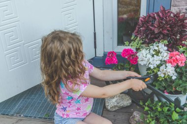 Kız, el, kırpma makasları bahçıvanla trim çalılar ve çiçekler