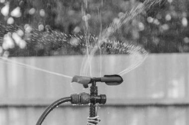 bahçede bir otomatik sulama sistemi ile su damlaları