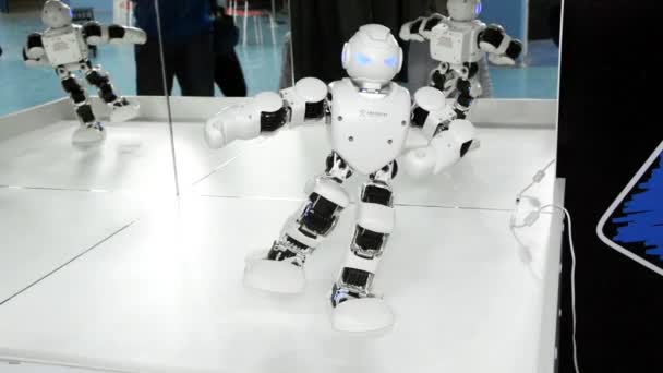 Russia San Pietroburgo Robot Novembre 2018 Mostra Città Dei Robot — Video Stock