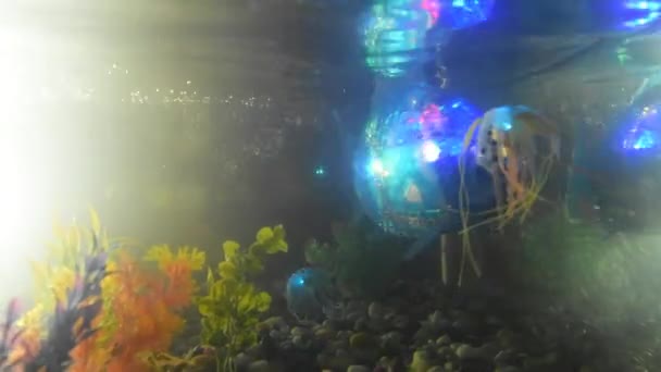 Russia, San Pietroburgo, 8 novembre 2018-mostra Città dei robot - i pesci robot nuotano nell'acquario . — Video Stock