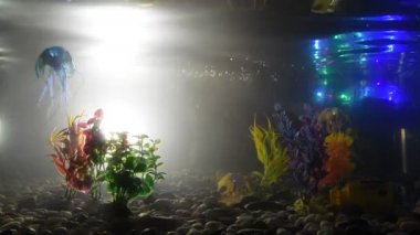 Rusya, St. Petersburg, 8 Kasım, 2018-sergi City robotlar - balık robot yüzüyor içinde belgili tanımlık akvaryum.