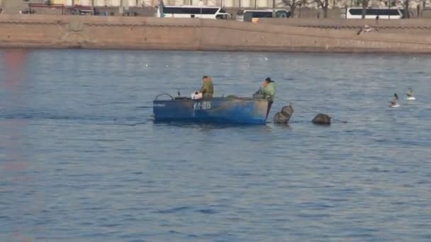 Rusland, St. Petersburg, mei 6, 2019-redactionele video, de rivier de Neva stropers netten vissen vroeg in de ochtend — Stockvideo