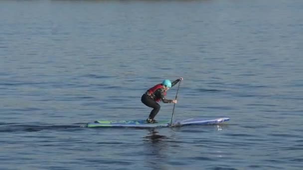 Ryssland, St. Petersburg, 10 maj, 2019-redaktionellt, stads turism på floder på SIP surfing — Stockvideo