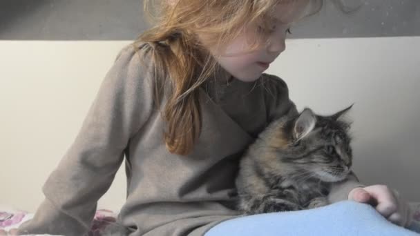 На кровати сидит девушка с мягким пушистым котом — стоковое видео