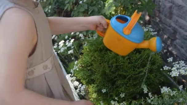 Het zomer meisje met een gieter die bloemen kan drenken — Stockvideo