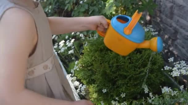 The summer girl with a watering can watering flowers — Stock Video