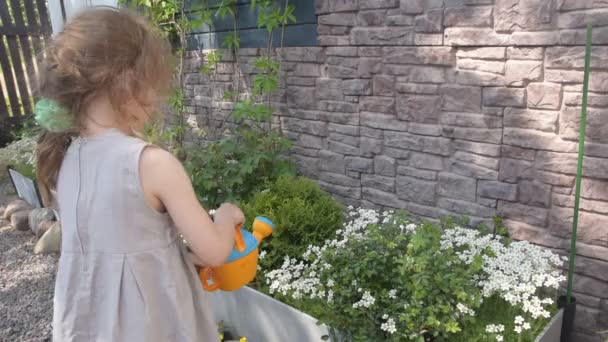 The summer girl with a watering can watering flowers — Stock Video