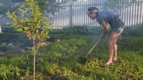 Девушка садовник удаляет грабли травы — стоковое видео