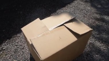 bebek kız bir kutuya saklandı ve onu mutlu ile çıkar