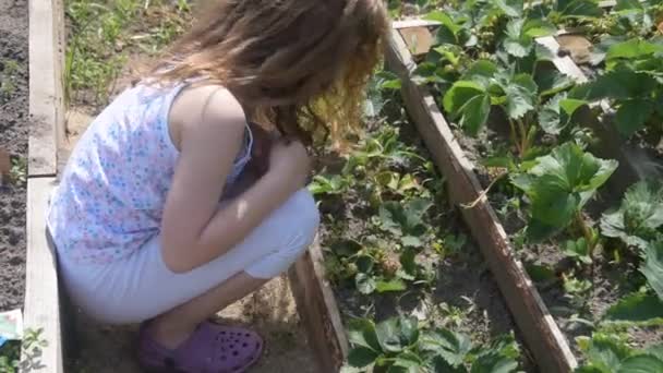 Het meisje van de baby naast het bed eten aardbeien — Stockvideo