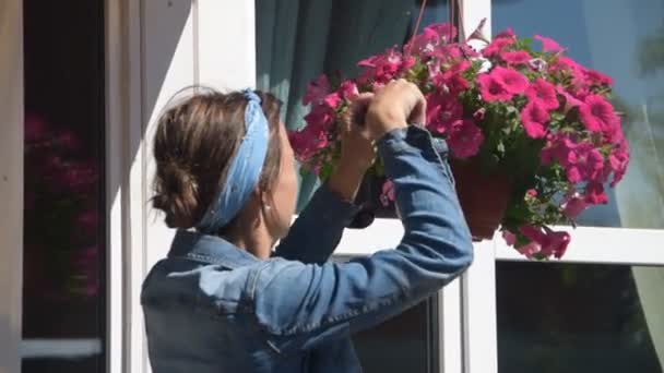 Садовница, обрезающая цветы у входа в дом — стоковое видео