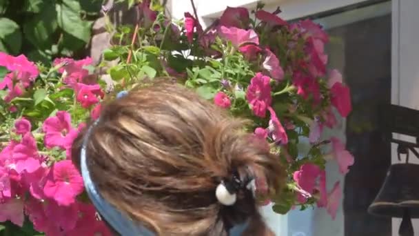 A menina jardineiro poda flores na entrada da casa — Vídeo de Stock