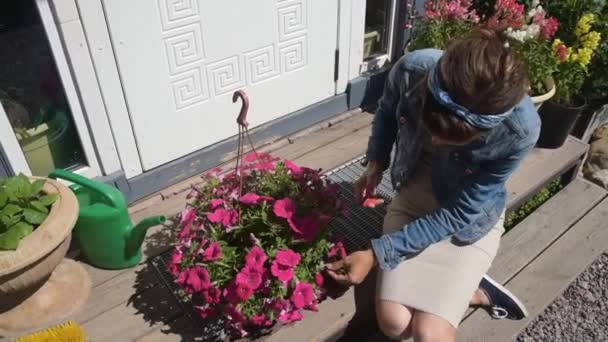 Flickan trädgårdsmästare beskärning blommor vid ingången till huset — Stockvideo