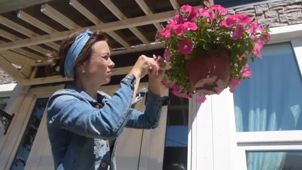 The girl gardener pruning flowers at the entrance of the house — Stock Video