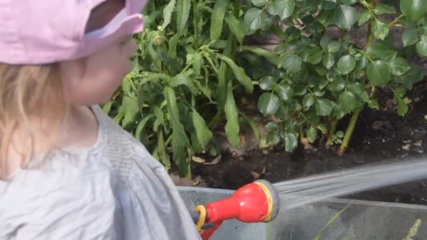 Le bébé fille fleurs jardin arrosoir de tuyau — Video