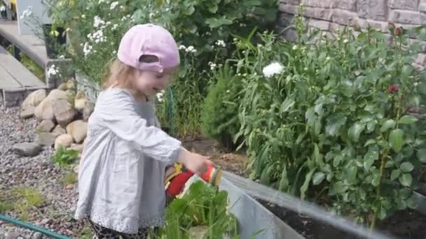 De baby meisje bloementuin gieter van slang — Stockvideo