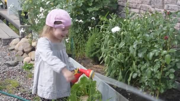 Девочка цветет в саду, поливая банки из-под шампанского — стоковое видео