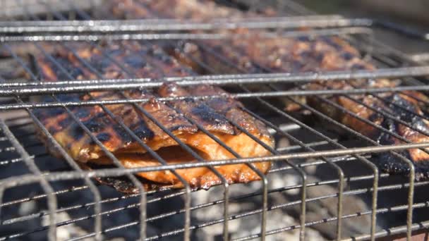 Ryba w grillu do smażenia na węglu na zewnątrz — Wideo stockowe