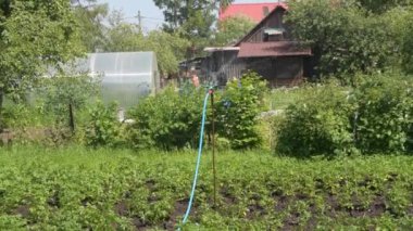 Bir sulama mekanizması bahçe damlalarını devirir.