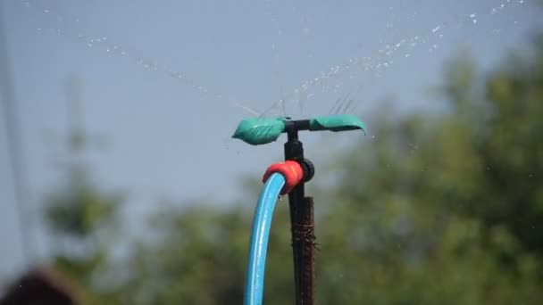 정원에 떨어지는 물을 순환시키는 장치 — 비디오