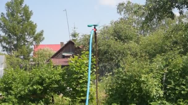 Ein Bewässerungsmechanismus dreht die Gartentropfen um — Stockvideo