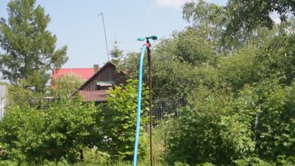 Un mecanismo de riego gira sobre las gotas del jardín — Vídeos de Stock