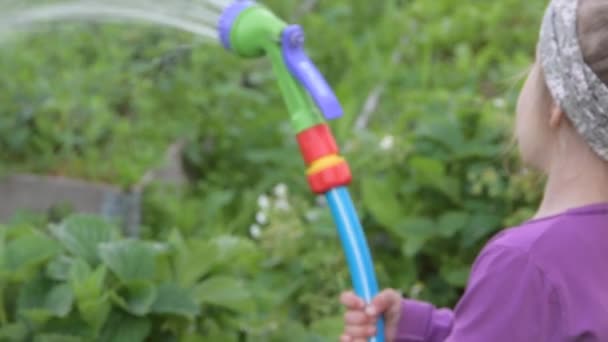Un niño con una manguera y una regadera regando el jardín — Vídeos de Stock