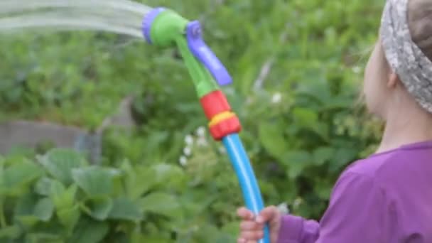 Un niño con una manguera y una regadera regando el jardín — Vídeos de Stock
