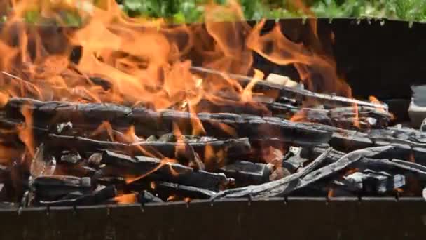 Fire Coals Close Grill — Stock Video