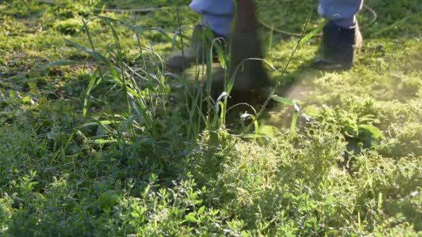 Eine Nahaufnahme der Füße eines Gärtners, eines Arbeiters und eines Trimmers, der das Gras mäht — Stockvideo