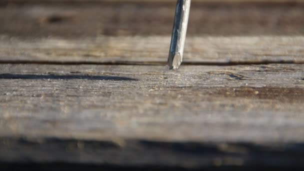 Un marteau rouillé enfonce un clou dans la planche — Video