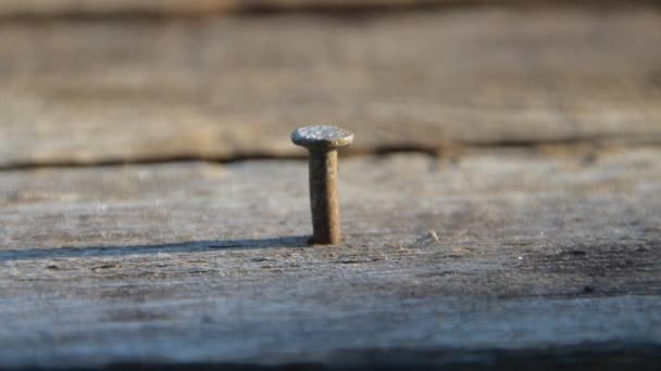 Un marteau rouillé enfonce un clou dans la planche — Video