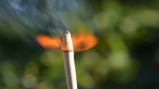 A burning and Smoking match close up — Stock Video