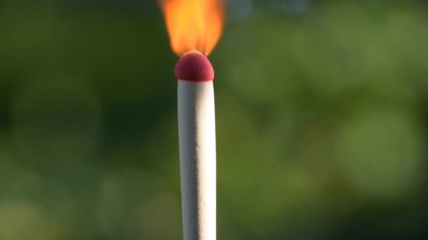 Ein brennendes und rauchendes Streichholz aus nächster Nähe — Stockvideo